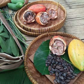 cacao-beans-from-garden-dapur-tara-flores-restaurant-komodo